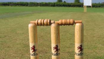 Cricket Pitch